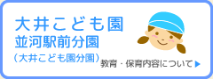 大井こども園 並河駅前分園（大井こども園分園） 教育・保育内容について