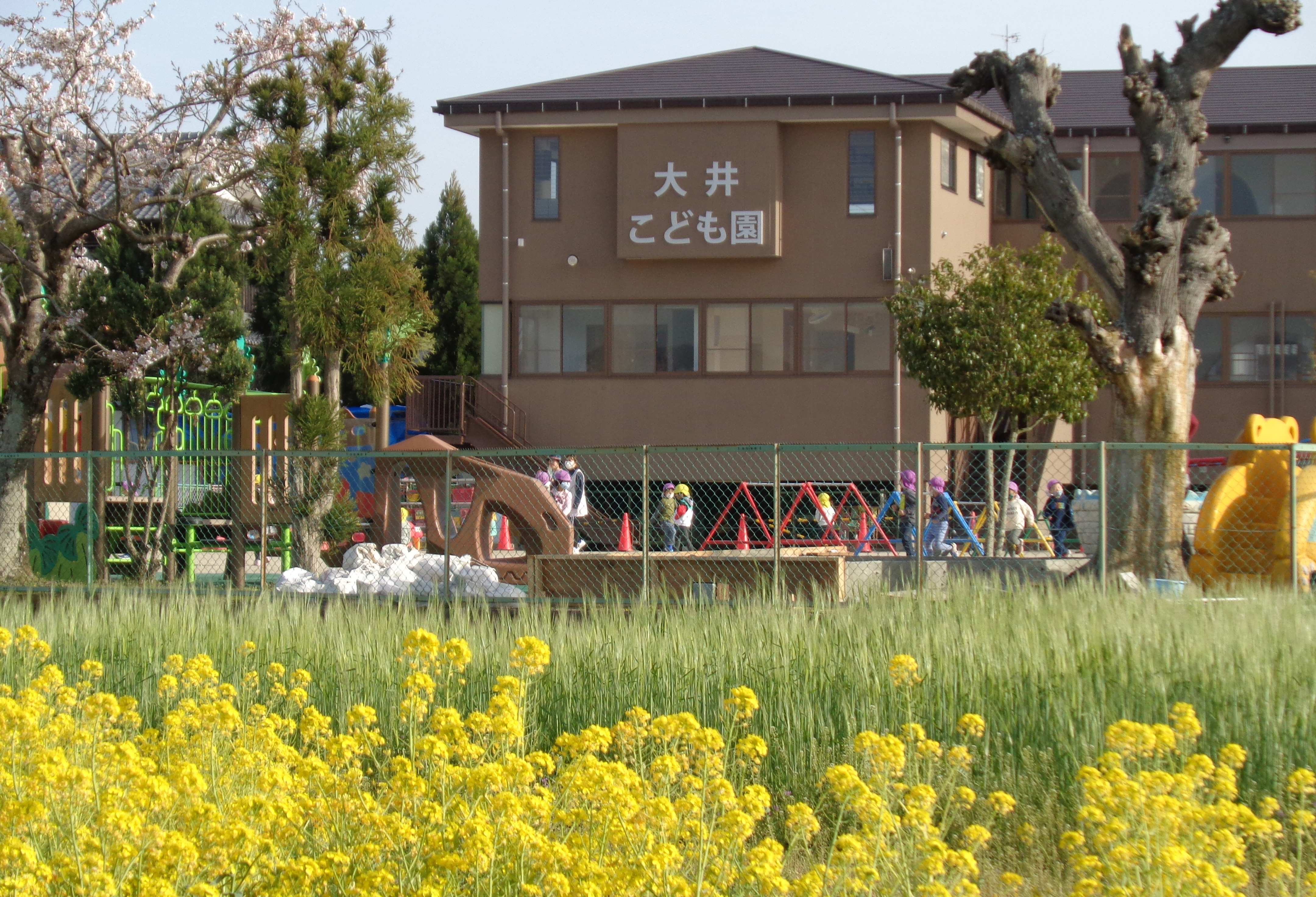 ⼤井こども園
